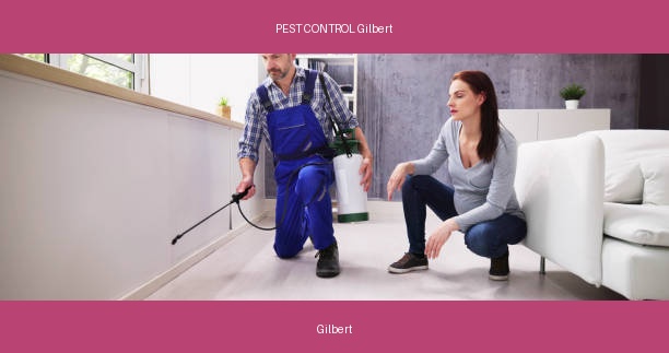 PEST CONTROL Gilbert